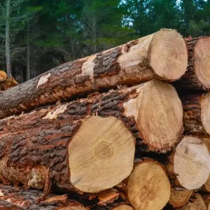 Wood Boilers