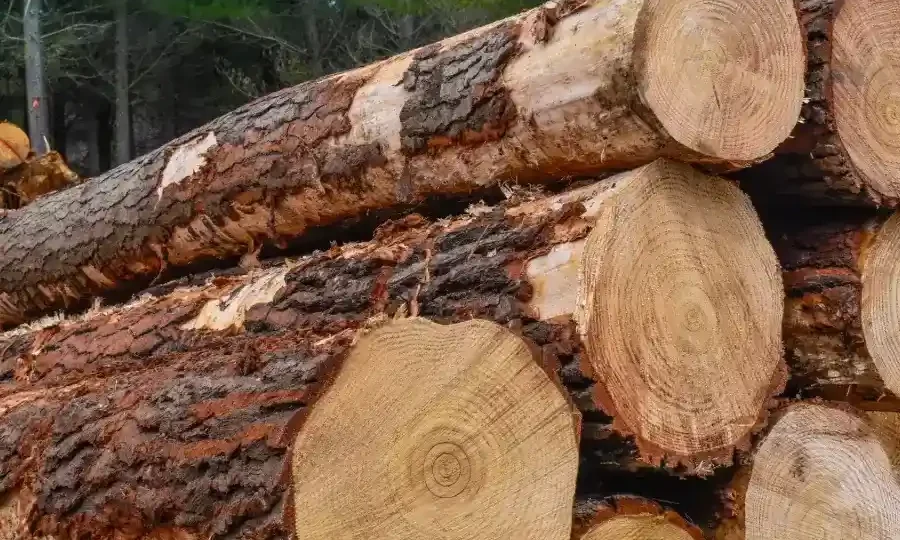 Wood Boilers